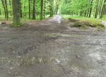 Dobrá zpráva pro chodce i cyklisty, Ostrava opraví lesní cesty v Bělském lese