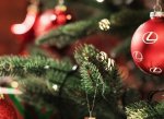 Lexus v Ostravě chystá vánoční trh s Davidem Valíčkem i dárky z MasterChefa