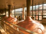 ​Ostravar pomůže v Moravskoslezském kraji s výchovou nové generace pivovarníků