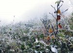 První mrazík v Beskydech? Krásné fotky od čtenáře PATRIOTU