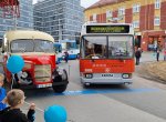 Obrazem: Ostravou kroužily historické autobusy a trolejbusy