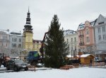 Ostrava už hledá vánoční strom. Víme, jak budou vypadat Ostravské Vánoce