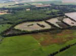 Unikátní přírodní rezervace Bažantula propojuje čtyři rybníky v Poodří