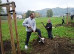 V Bukovci se letos narodil rekordní počet dětí. Každé dostane strom v aleji