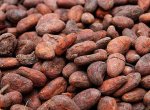 Celníci zadrželi v Paskově 22 tisíc kilo plesnivých kakaových bobů