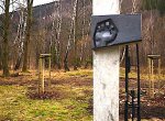 Morávka vysadila jeřabinovou alej na památku dvou mladíků oběšených nacisty