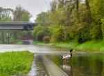 Lidé v okolí potoků a řek si mohou oddechnout. Hladiny klesají