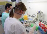 Koronavirus: ​Ostravské laboratoře AGELLAB otestovaly již tisíc vzorků, 50 bylo pozitivních