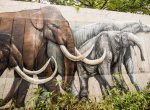 Ostravskou zoo zdobí obří malby. Unikátní video ukazuje, jak vznikly