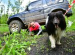 Mazlikiáda - charitativní adrenalinový psí závod se v květnu poběží na Hlučínsku