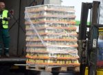 Tomu se nechce věřit: 18 tun medu bude zničeno v ostravské spalovně