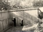 Seriál: Jak vznikala ostravská zoo. První roky ve Stromovce utvořily základní tvář zahrady