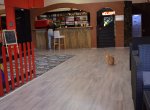 Mňau Caffe: Kočičí kavárna, kde hrozí, že přestanete mít rádi kočky