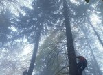 Paraglidistka (40) se v husté mlze zřítila do koruny stromu