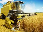 Moravskoslezští zemědělci dokončili sklizeň obilí, výnosy jsou nižší než loni