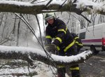 Těžký sníh a vítr lámou v kraji stromy, přibývá i dopravních nehod
