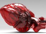 Věda 21. století. Srdce z 3D tiskárny umožní chirurgům z Třince připravit se lépe na operaci