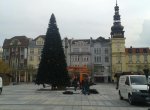 Ostrava už má vánoční strom! Je však umělý